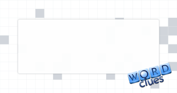 '90s fad disks Crossword Clue