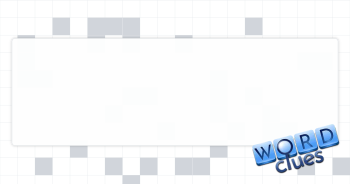 Baggage accessory Crossword Clue