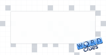 Bay Area NFLer Crossword Clue