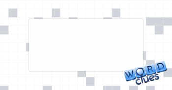 Bra part Crossword Clue