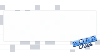 Button-down, e.g. Crossword Clue