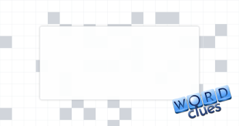 Camera view Crossword Clue