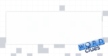 Camisole feature Crossword Clue