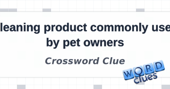Cleaning product commonly used by pet owners Crossword Clue