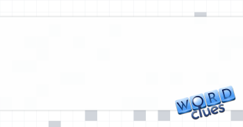 Concern for a software engineer Crossword Clue