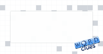 Flying camera? Crossword Clue