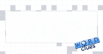Item in a closet Crossword Clue