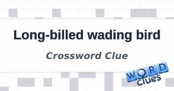 Long billed wading bird Crossword Clue