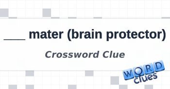 mater (brain protector) Crossword Clue