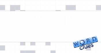 Nonreflective finish Crossword Clue