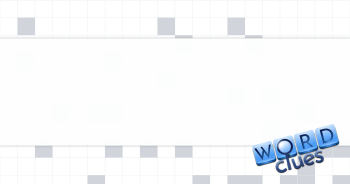 Racer's swimwear brand Crossword Clue