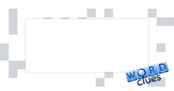 Shot chaser? Crossword Clue