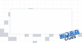 Type of nerve Crossword Clue