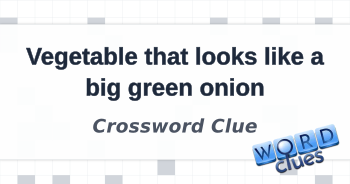 Vegetable that looks like a big green onion Crossword Clue